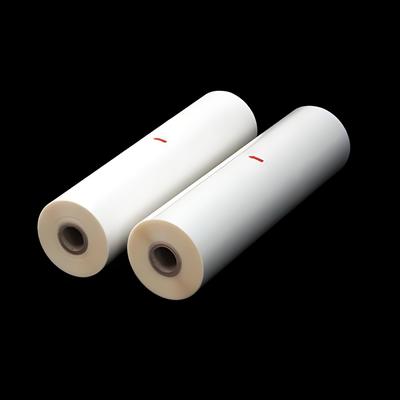 Biaxially Oriented Polypropylene BOPP Lamination Film with Glue
