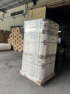 Dijital Laminasyon için Pürüzsüz Yüzey ve Yumuşak Sertliğe Sahip 30 MİKRON Termal Laminasyon Filmi