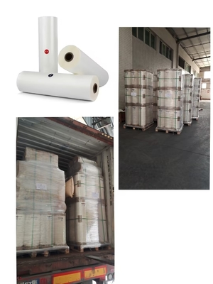 PET açı yapıştırma termal laminatör köşe bantı. Çift taraflı korona tedavisi. 90°C laminatör sıcaklığı.
